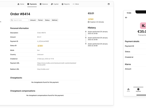 A desktop payments dashboard next to a matching mobile app screen